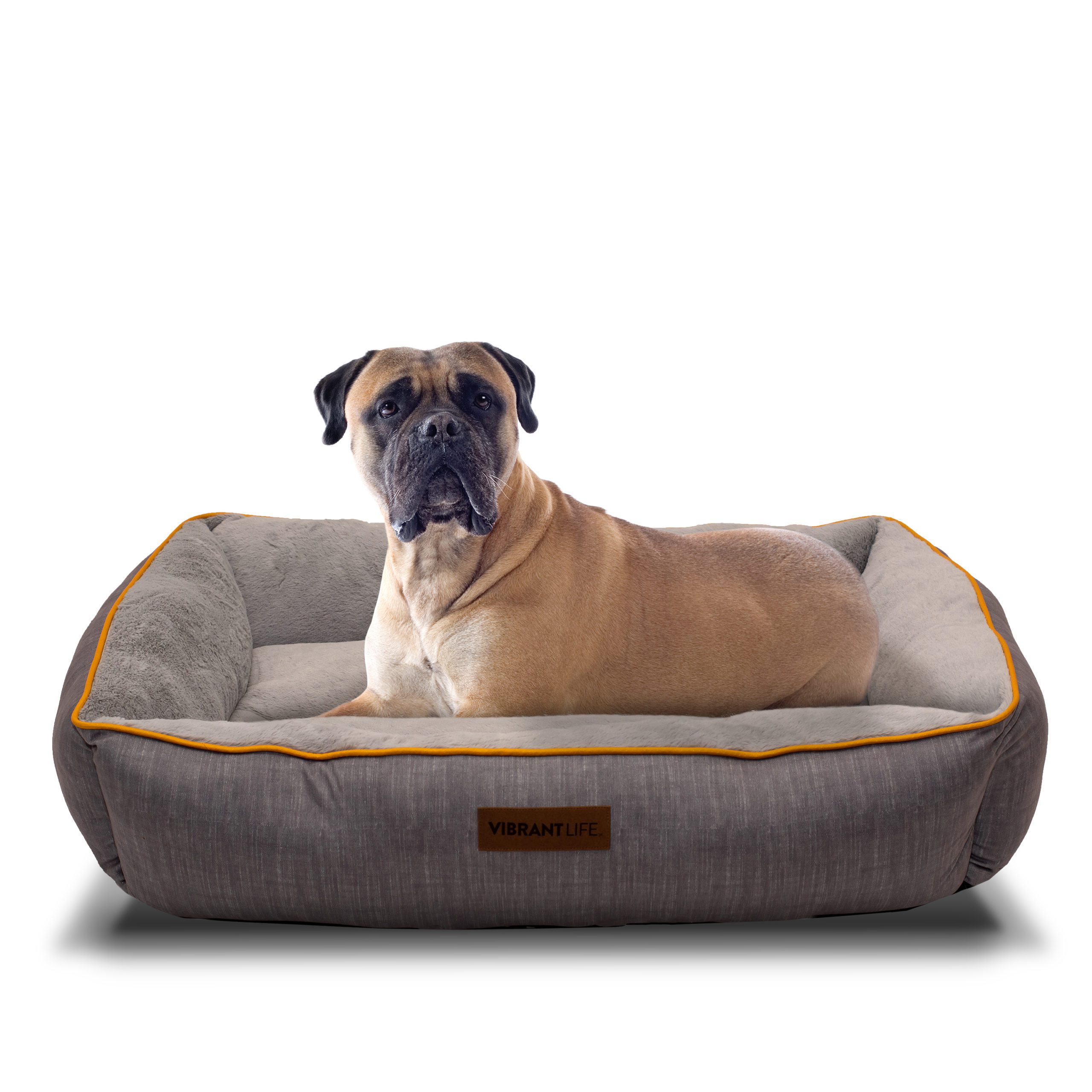 Vibrant Life Lounger Pet Bed