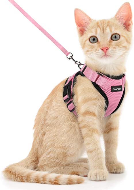 Dooradar Adjustable Cat Vest Harnesses and Leash Set