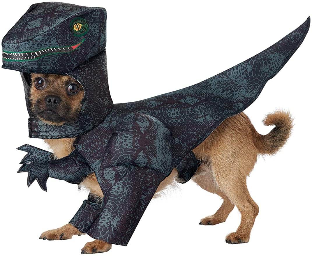 California Dog Pupasaurus Rex Costume