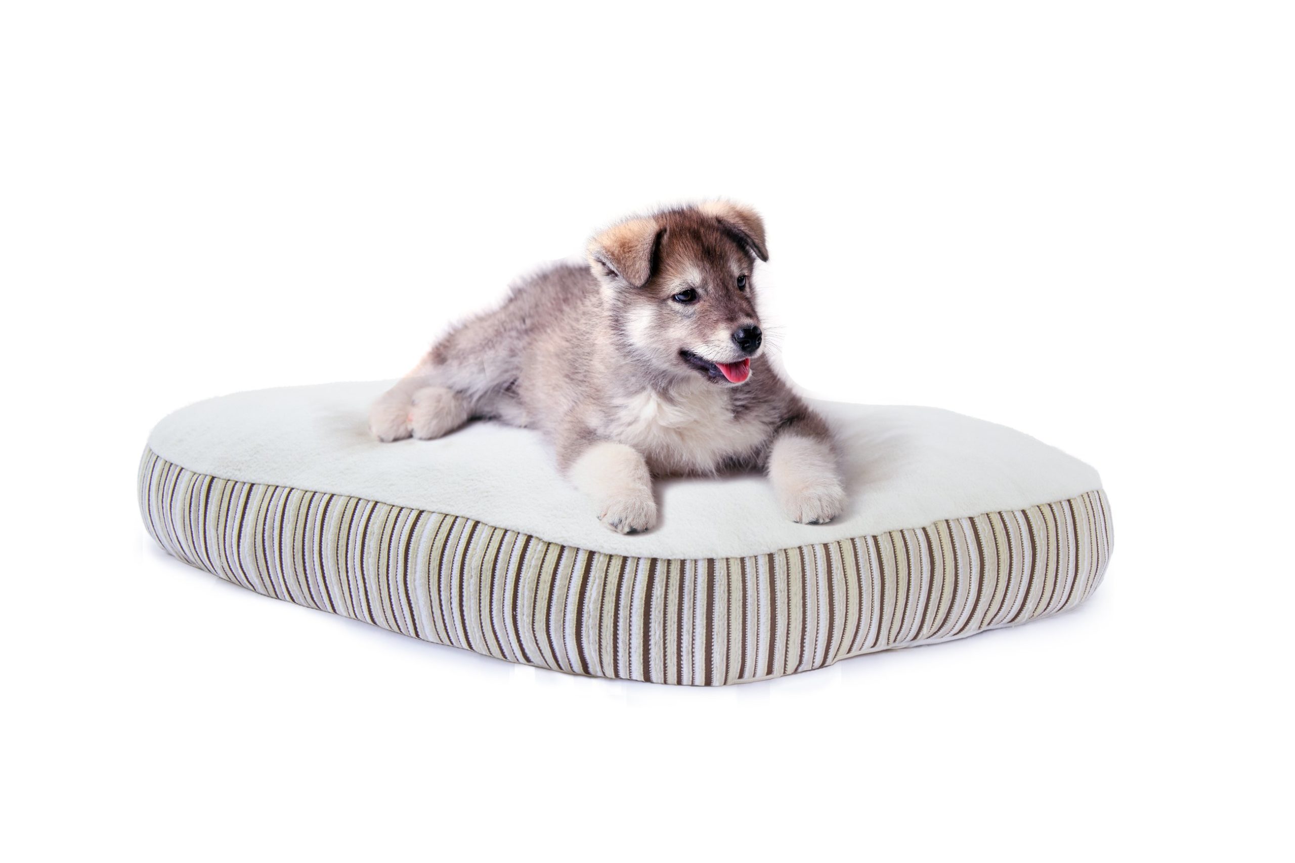 Kingston Dog Bed by Essentia