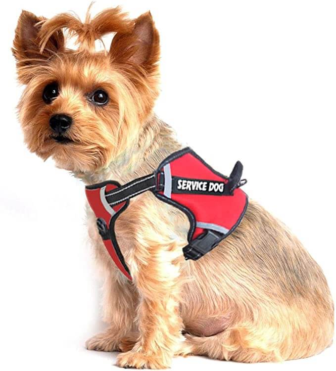 LMOBXEVL No Pull with Handle Service Dog Harness