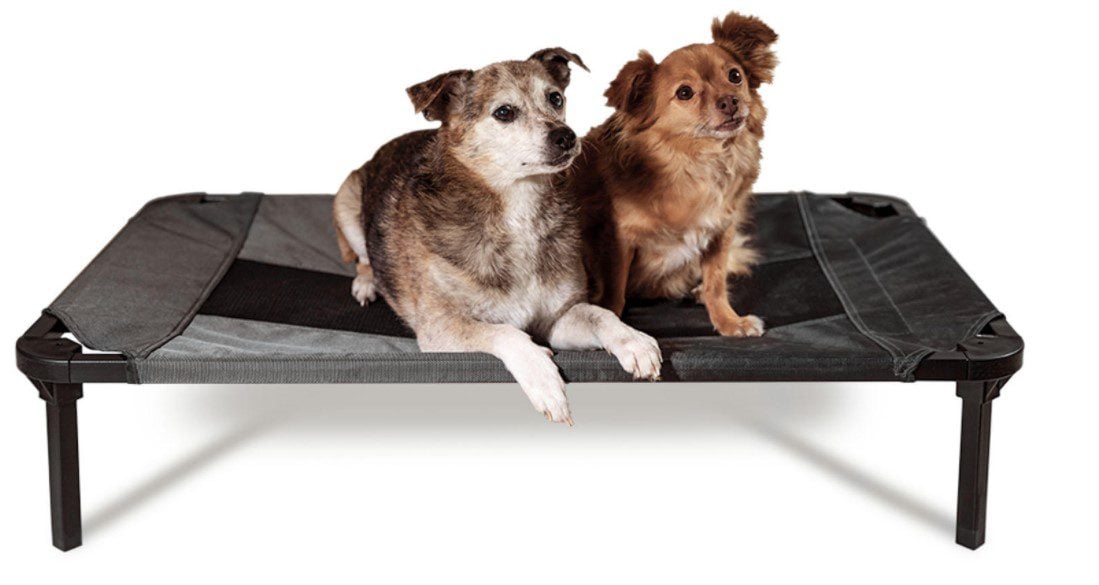 Lucky Dog Elevated Pet Bed
