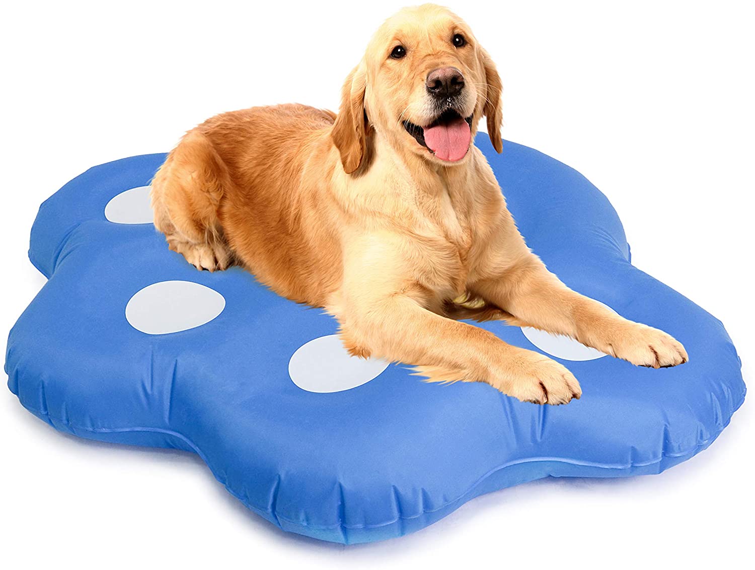 Mystery Dog Floats for Pool