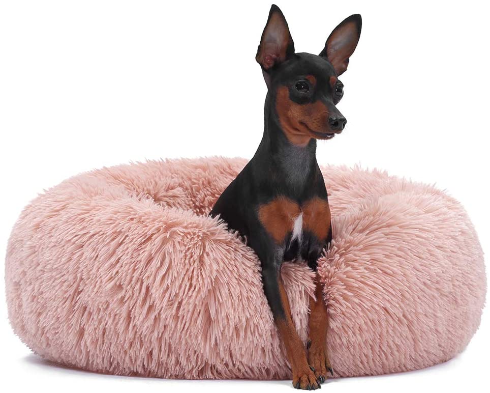 Neekor Plush Dog Bed
