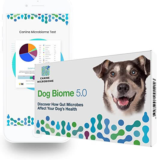 Orivet Gut Microbiome Dog Biome DNA Test