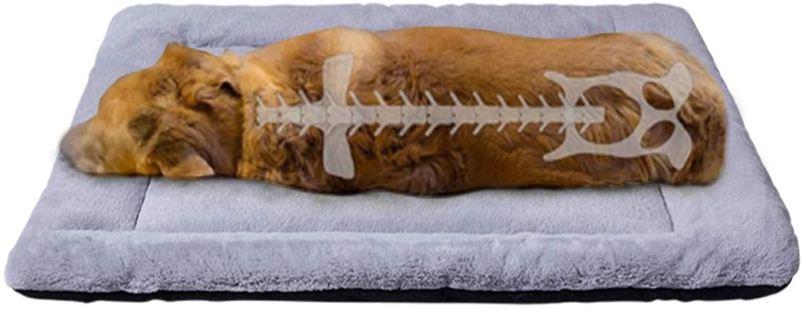 PETCIOSCO Super Soft Dog Bed