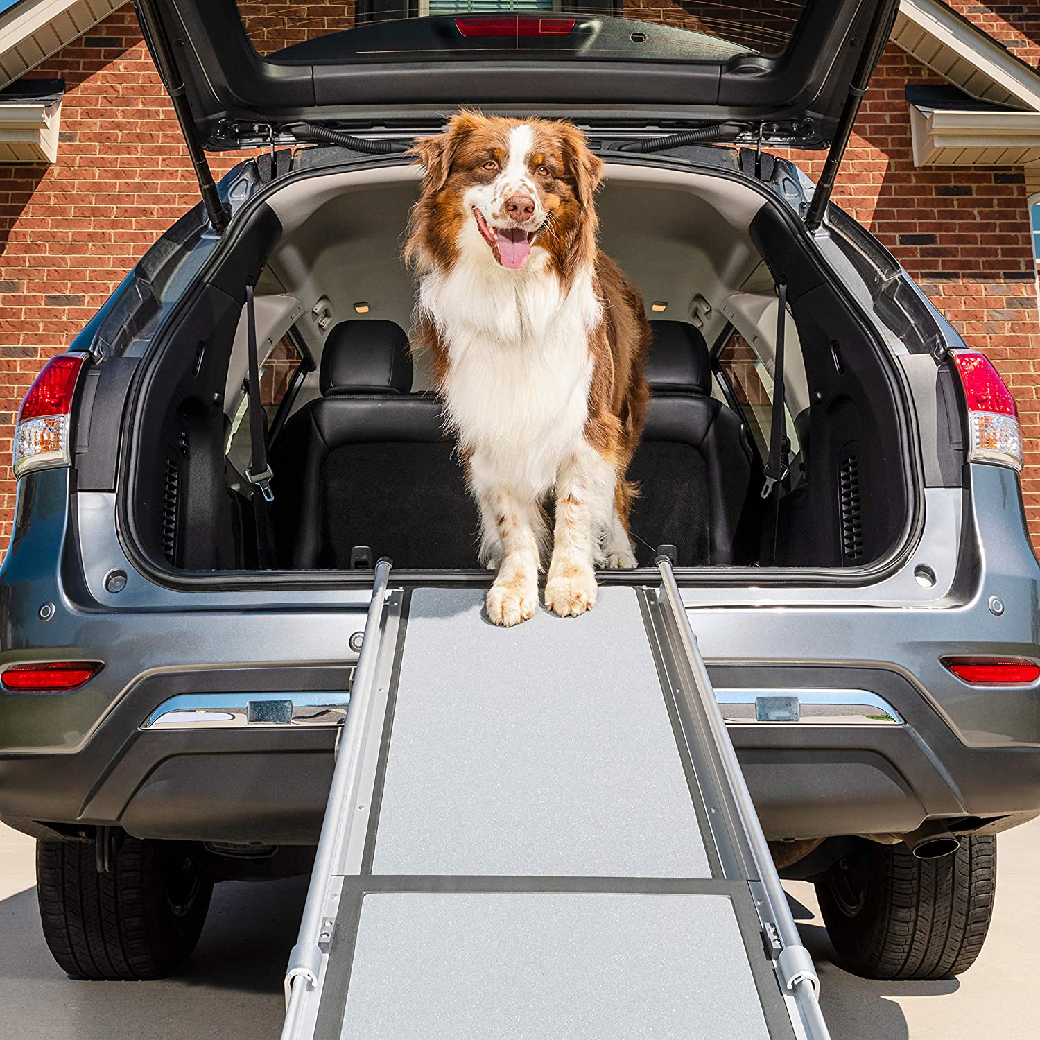 PetSafe Happy Ride Deluxe Telescoping Pet Ramp