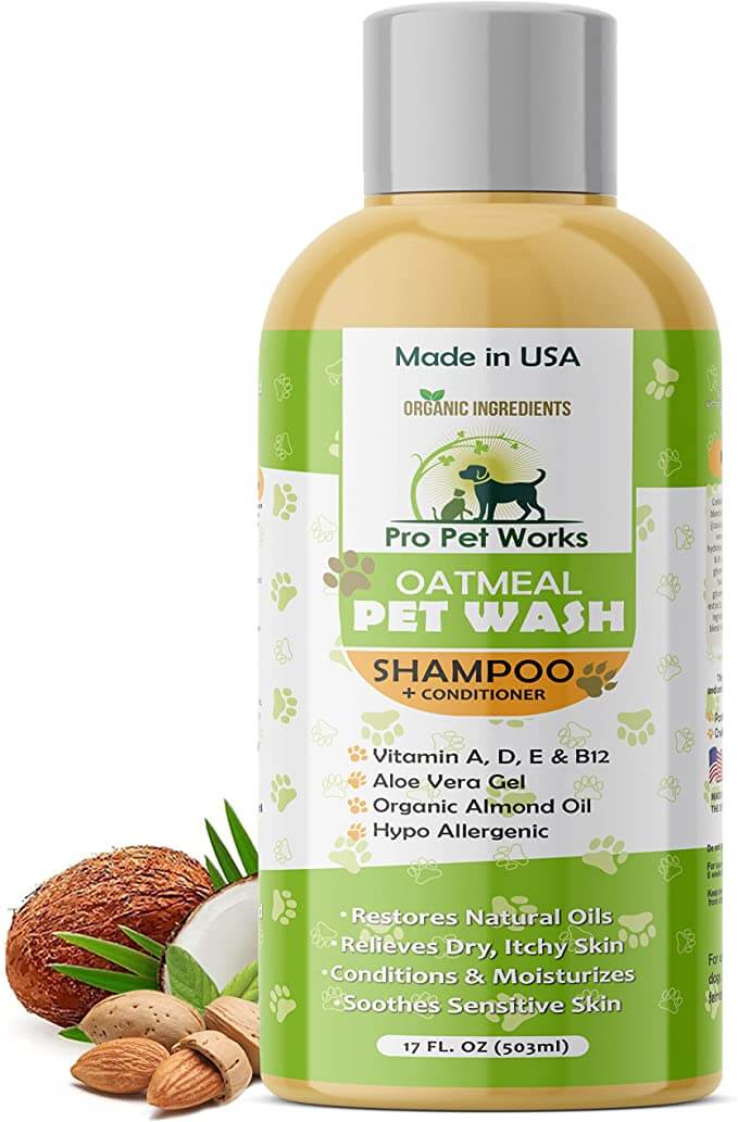 The Best 7 Oatmeal Shampoo for Dogs: Our Top Picks - Onevet.ai