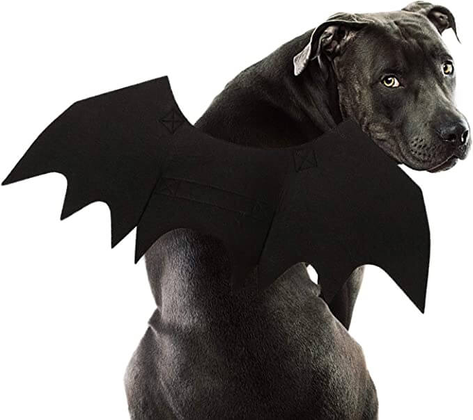 Rypet Dog Halloween Bat Costume