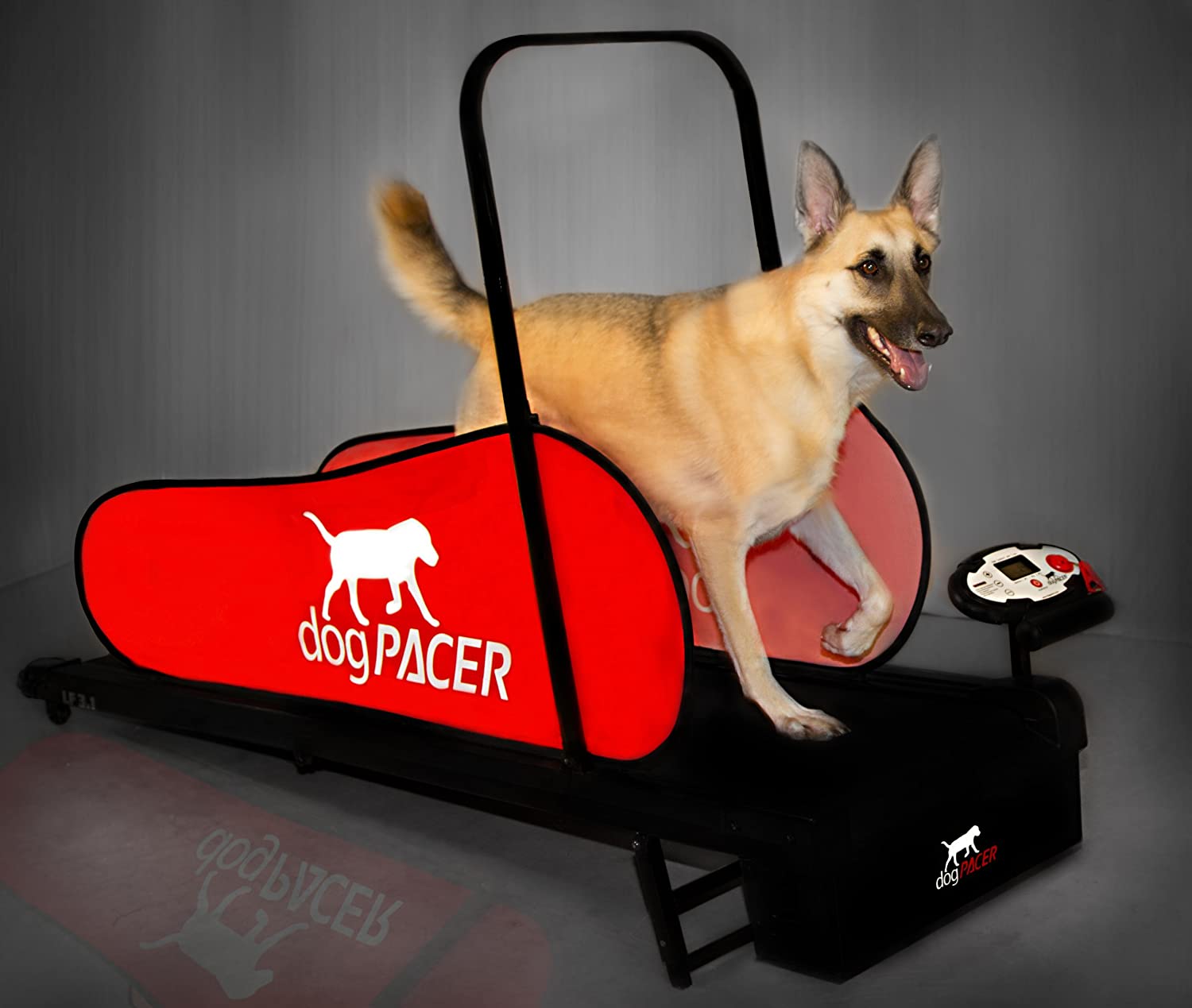 The dogPACER LF 31 Treadmill