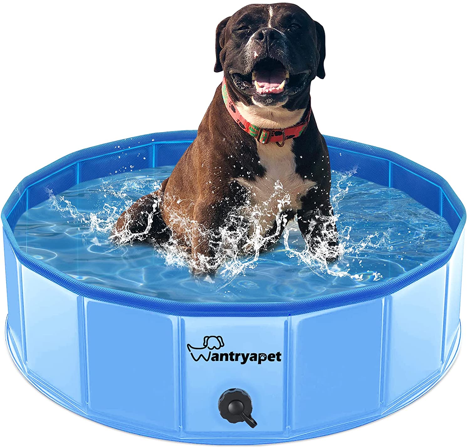 WANTRYAPET Foldable Dog Pool 2