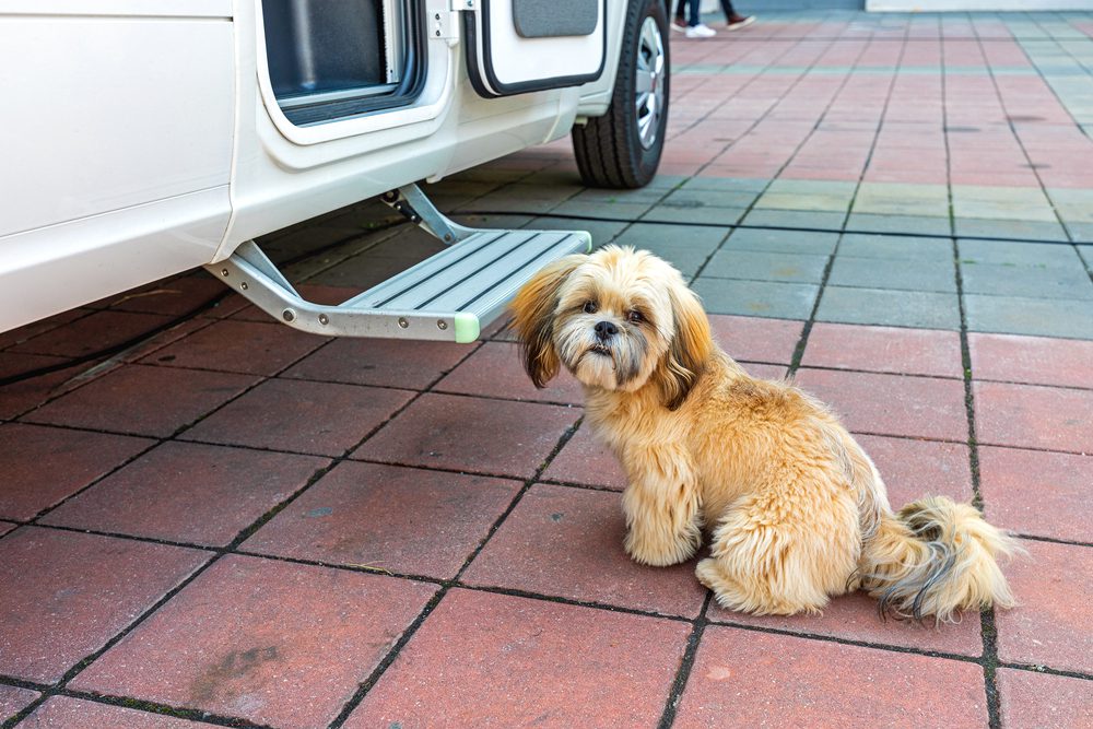 What is an RV Dog Ramp