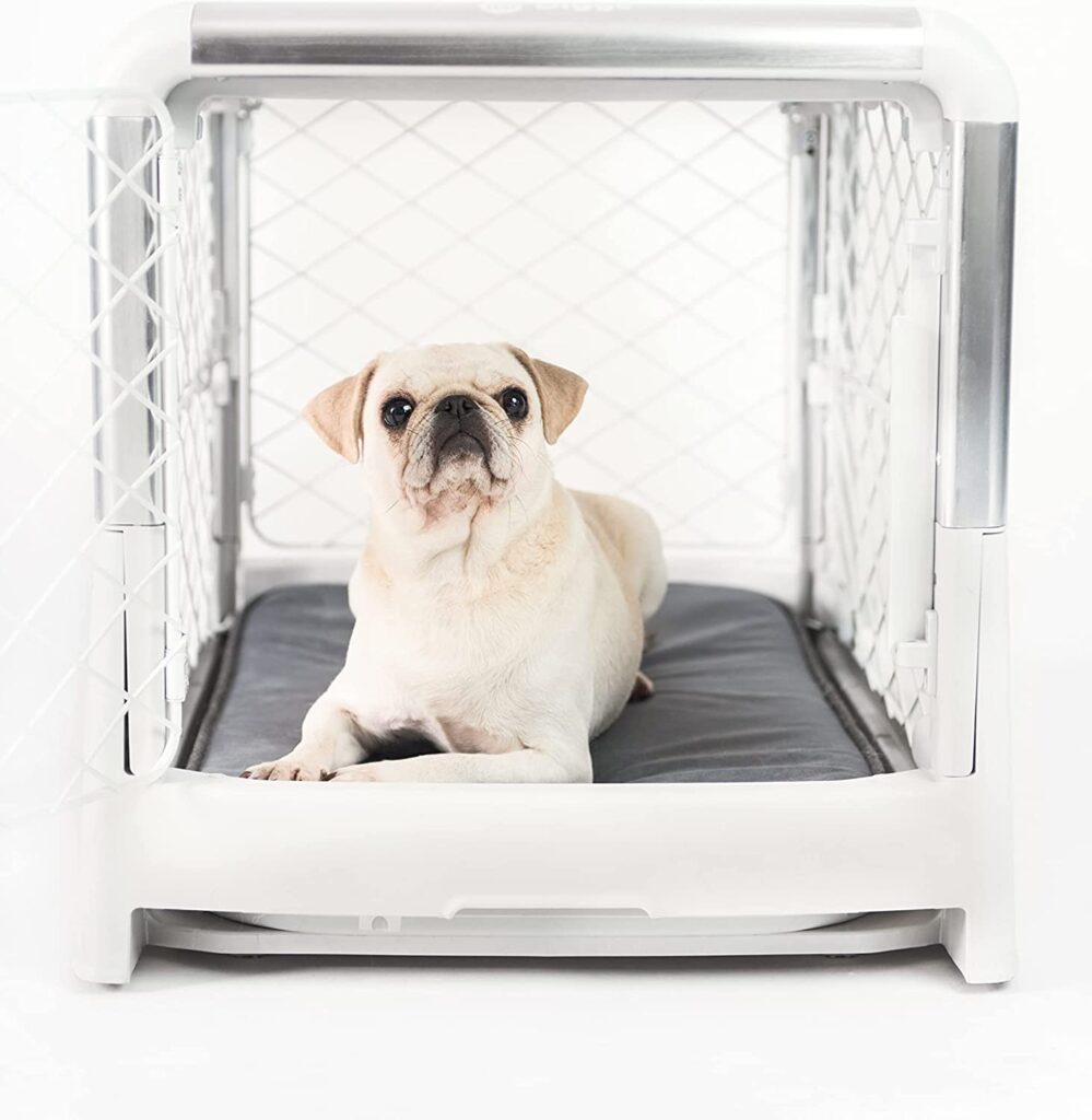 Diggs Revol Dog Crate