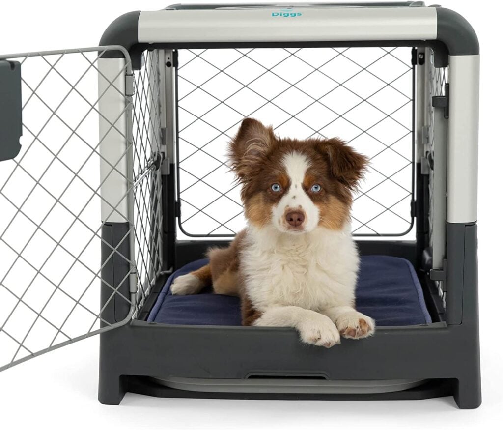 Diggs Revol Dog Crate for Medium Dogs