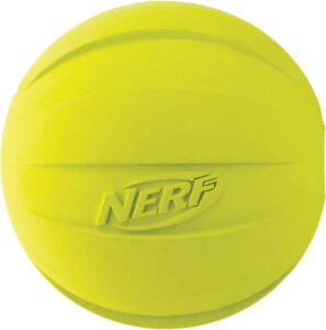 Nerf Dog Rubber Ball Dog Toy with Squeaker