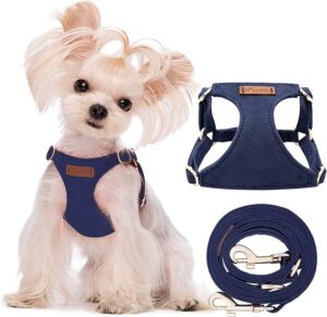 No Pull Puppy Harness with Multifunction Dog Leash