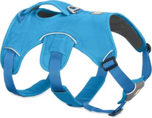 RUFFWEAR Web Master Multi Use Support Dog Harness for Small Dogs