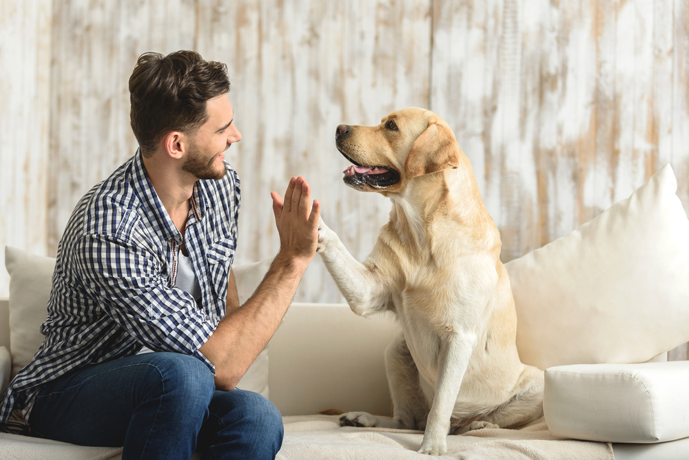 5 things that can add years to your dogs life