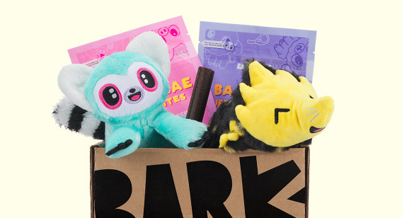 Box of Barkbox products